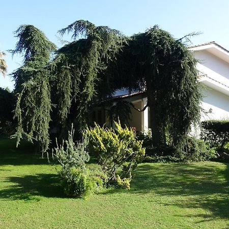 Villa Paradiso Le Rughe Exterior foto